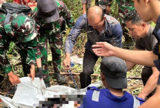 Pesawat Air Tractor Jatuh