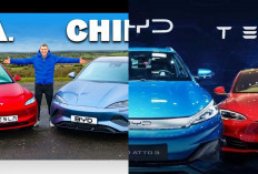 Tesla vs BYD, Siapa Raja Mobil Listrik? Berikut Ulasan Lengkapnya!