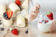 Yuk Catat Guys! 5 Manfaat Kesehatan Utama dari Konsumsi Yogurt Setiap Hari