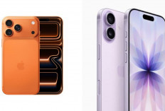 Review iPhone 17: Desain Lebih Tipis, Performa Kencang, dan Kamera Semakin Pintar, Apakah Layak Dibeli! 