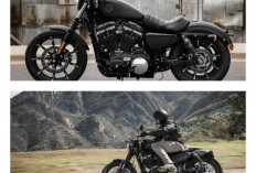 Motor Harley Davidson Bekas Cepat Laku di Kota Besar, Pembeli Datang Lebih Siap