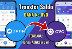 Panduan Praktis Transfer Saldo OVO ke DANA 2024, Cepat dan Mudah