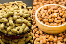  Tak Hanya Lezat, Inilah Manfaat Kacang Tanah Untuk Kesehatan Tubuh Yang Harus Kamu Tahu!