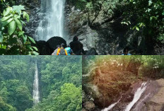 Eksplorasi Air Terjun Tersembunyi di Situbondo, Keindahan yang Belum Banyak Diketahui!