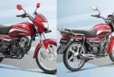 Cocok Disebut Penerus Win 100, Motor Baru Honda Ini Dijual Murah Tapi Tangguh untuk Harian Ditahun 2026!