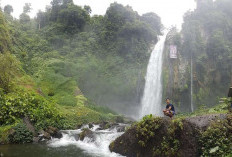 Melihat Pesona Air Terjun Tri Muara Karang, Wisata Alam yang Menyegarkan di Rejang Lebong!