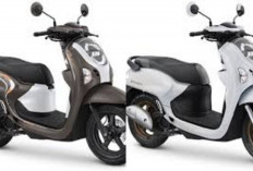 Harga Terbaru Mei 2026 All New Honda Scoopy Resmi Terungkap, Desain Makin Stylish dan Irit BBM Jadi Sorotan!