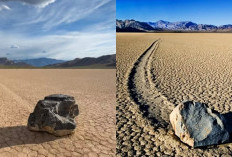 Mengapa Batu-batu di Racetrack Playa Bergerak? Yuk Cek Fakta Menarik tentang Moving Stones