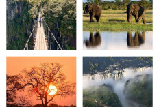 Banyak yang Nggak Tahu, Ini 5 Destinasi Wisata di Negara Zimbabwe yang Sayang untuk Dilewatkan Begitu Saja!