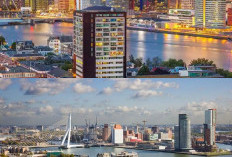 Menikmati Seni dan Arsitektur Modern di Rotterdam