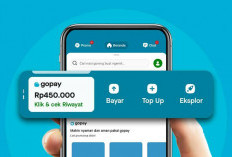 Klaim Saldo GoPay dan OVO Rp50.000 dari Jakpat! Kasih Pendapatmu Agar Dompet Elektronik Penuh Uang