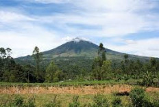 Memahami Ketenangan, Pesona Keindahan Gunung Cikuray dan Misterinya