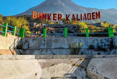 Tak Hanya Tempat Berlindung. Ini Fakta Menarik Bunker Kaliadem Lereng Merapi Yogyakarta 