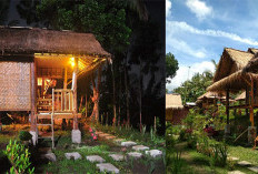 Mengenal Keidahan Desa Wisata Tetebatu di Lombok 