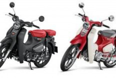 Honda Super Cub C15 2026 Resmi Meluncur Desain Klasik Legendaris Kini Lebih Modern dan Irit, Berapa Harganya!