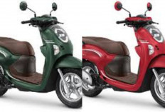 Review dan Harga Honda Scoopy 2026 Terbaru: Skutik Retro Modern Ini Masih Jadi Favorit Anak Muda!