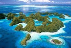Keajaiban Alam Bawah Laut Kepulauan Seribu, Mengungkap Keanekaragaman Hayati yang Memukau