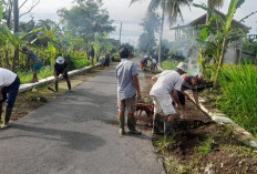 Demi Kebersihan Lingkungan, Kelurahan Selibar Ajak Warga Gotong Royong