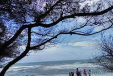 Keindahan Pantai Goa Cemara Yang Mempesona Dan Sangat Indah