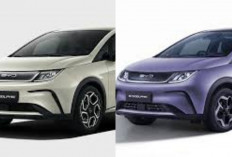 Harga Terbaru BYD Juni 2026 Resmi Terungkap! Cek Daftar Lengkap BYD Dolphin Atto 3!