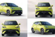 Harga Terbaru Agustus 2026 BYD Atto 1, Mobil Listrik Murah yang Bikin Penasaran Segini Harganya!