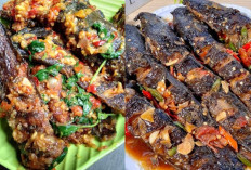 Mencicipi Kelezatan Ikan Lele Cabe Kemangi, Bikin Ketagihan Terus!