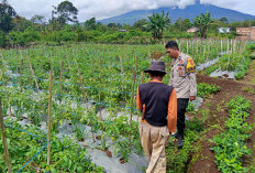 Polres Pagar Alam Dorong Ketahanan Pangan