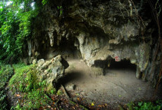 Objek Wisata Sejarah Gua Togi Ndrawa di Pulau Nias