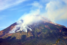 Misteri Gunung Sumbing, Menyibak Aura Mistis di Balik Keindahan Alam Jambi