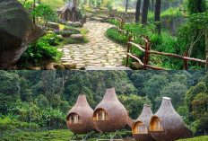 Ingin Feed Instagram Lebih Menarik? Coba Wisata Alam Hits di Bogor Ini