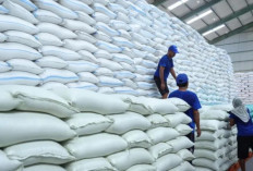Stok Beras RI Tembus 5 Juta Ton