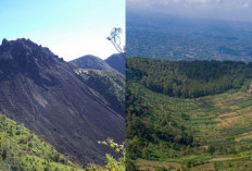 Gunung Blego, Puncak Terbelah dan Keajaiban Mistis di Jawa Timur!