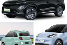 5 Mobil Listrik Murah dan Super Tangguh 2025, Performa Hebat dengan Harga Bersahabat, Ini Dia Mobilnya!