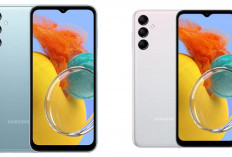 Review HP Samsung Galaxy M14 Masih Layak Dibeli pada 2026? Cek Performa, Kamera, Baterai, dan Harganya!