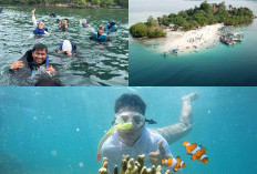 Pesona Alam Bawah Laut Pulau Pahawang, Wisata Snorkeling yang Tak Terlupakan!