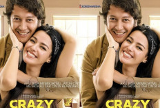 Sinopsis Film Crazy Stupid Love Aksi Romansa Dimas Anggara dan Susan Sameh, Buruan Nonton