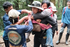 3 Pendaki Alami Hipotermia di Gunung Dempo