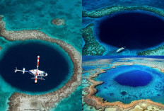 Sudah Tahu? Mengungkap Misteri Great Blue Hole Keajaiban Alam yang Menyimpan Segudang Pertanyaan!