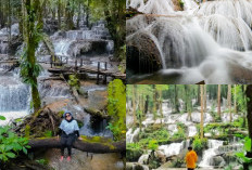 Mandi di Air Terjun Mokokawa, Sensasi Kesegaran di Tengah Hutan Belantara