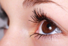 Berkilau dan Memikat! Menggali 5 Manfaat Serum Bulu Mata Untuk Tampilan Mata yang Mempesona