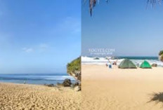  Pantai Ngrumput Gunung kidul, Cocok untuk Camping dan Berburu Sunset-Sunrise