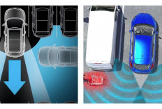 Mundur Aman Tanpa Khawatir Rear Cross Traffic Alert, Fitur Keselamatan yang Wajib Ada