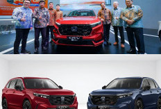 All New Honda CR-V Masih Impor Thailand, Produksi Lokal Indonesia Diprediksi Mulai 2026, Ini Ulasannya!