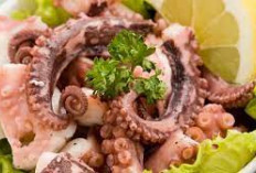 Pecinta Kuliner Laut Wajib Coba! 5 Sumber Protein Berkualitas Tinggi dari Nutrisi Gurita