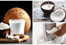 Yuk Simak Penjelasannya, Ada 5 Tips cara Membuat Santan Kental yang Segar dari Kelapa Parut