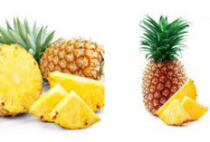 Manfaat Nanas Untuk Kesehatan: Dari Pencernaan Lancar hingga Kulit Glowing
