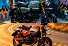 Makin Gemas dan Ikonik! Honda Monkey 2026 Meluncur dengan Pilihan Warna Baru yang Segar
