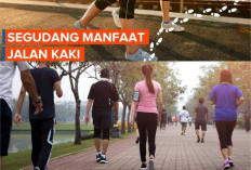 8 Manfaat Jalan Kaki Rutin. Olahraga Paling Mudah dan Murah Untuk Dilakukan