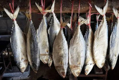 Yakin Ga Mau Coba? Ini 5 Manfaat Ikan Asin Untuk Kesehatan Anda, Cek Faktanya!