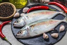 Melengkapi Pola Makan Sehat Anda Dengan Ikan Kembung! Ini 5 Manfaat Gizi dan Kesehatan Yang Mengagumkan